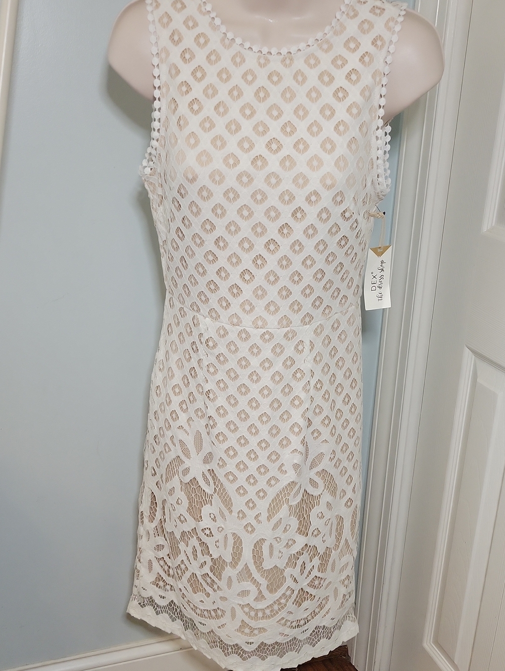Dex Ivory Lace Shift Dress NWT Size XSmall